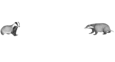 Ofmeta